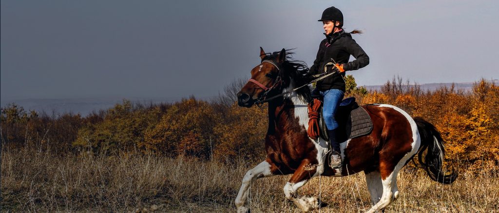 Horseback Riding