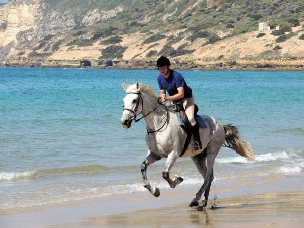 Private -  Beach Rides
